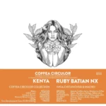 Kenya - Ruby Isolated Batian