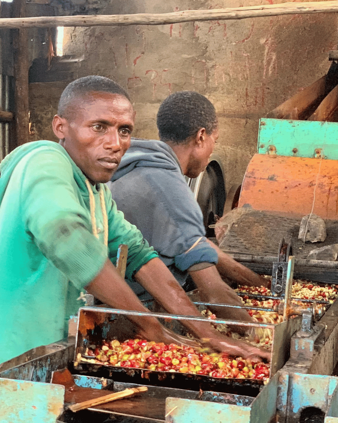 Cafea de specialitate - Drop Coffee Roasters - Ethiopia Hunkute
