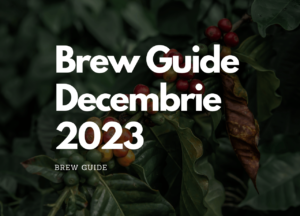 Brew Guide Decembrie 2023