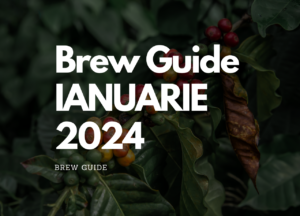 Brew Guide - Retete Coffea CIrculor si The Barn Ianuarie 2024