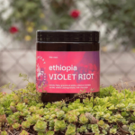 Cafea de specialitate - Concept Coffee Roasters - Ethiopia Violet Riot