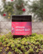 Cafea de specialitate - Concept Coffee Roasters - Ethiopia Violet Riot