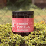 Cafea de specialitate - Concept Coffee Roasters - Columbia Pink Fuzz