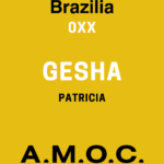Cafea de specialitate Brazilia GEisha