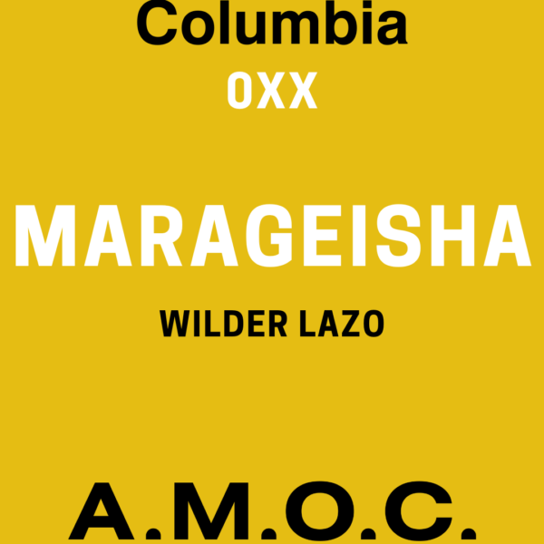 AMOC Marageisha