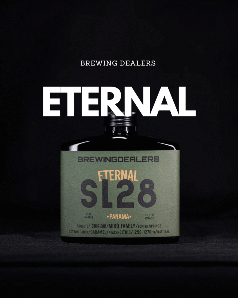 Cafea de specialitate geisha Brewing Dealers