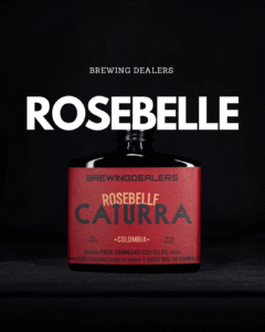 Cafea de specialitate Brewing Dealers