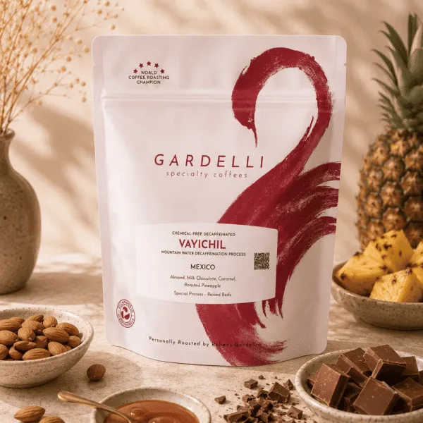Mexico – Vayichil Decaf
