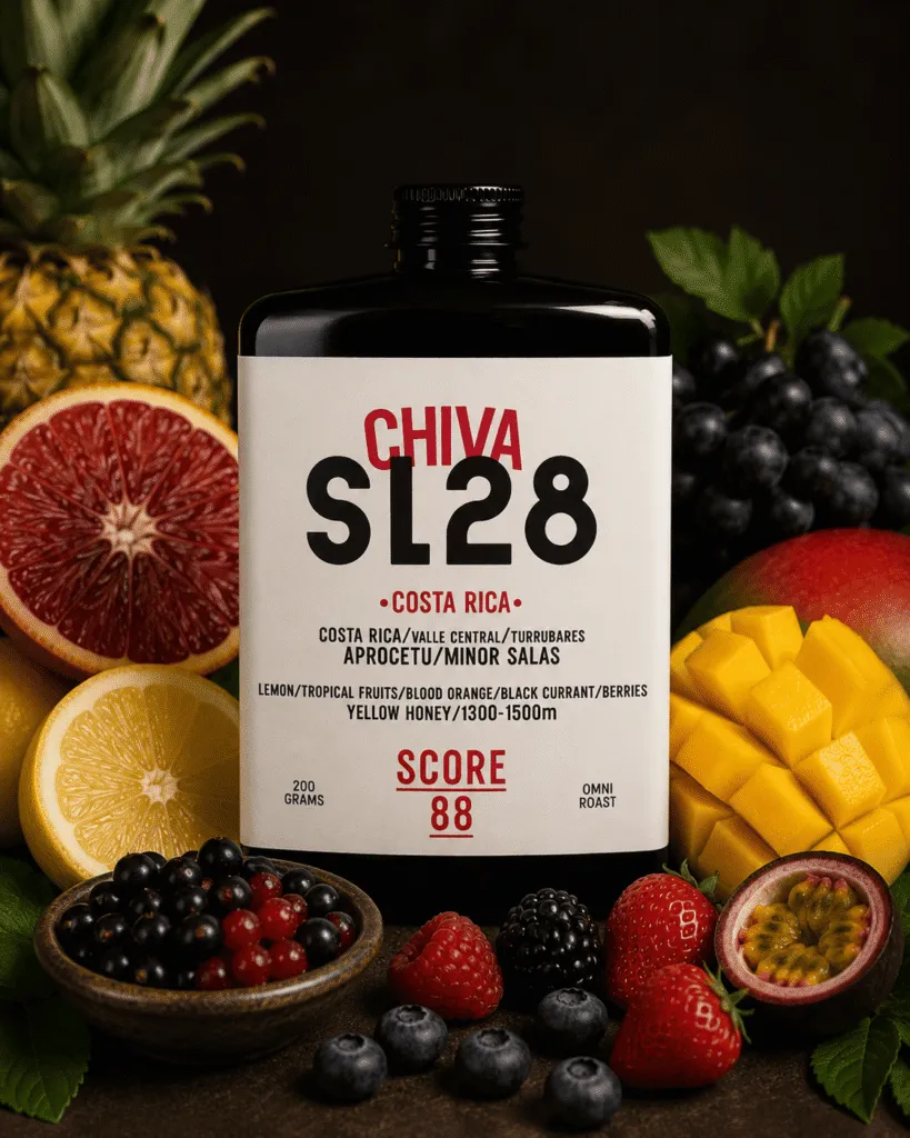 Costa Rica - Chiva, Brewing Dealers