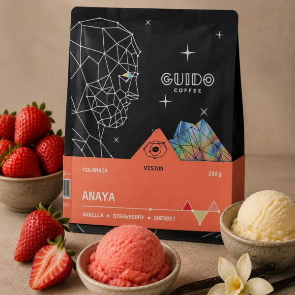 Guido - Anaya
