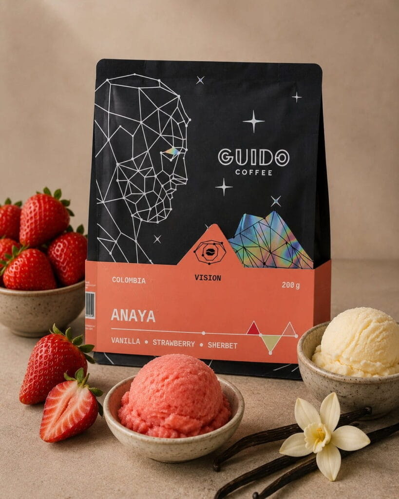 Guido - Anaya