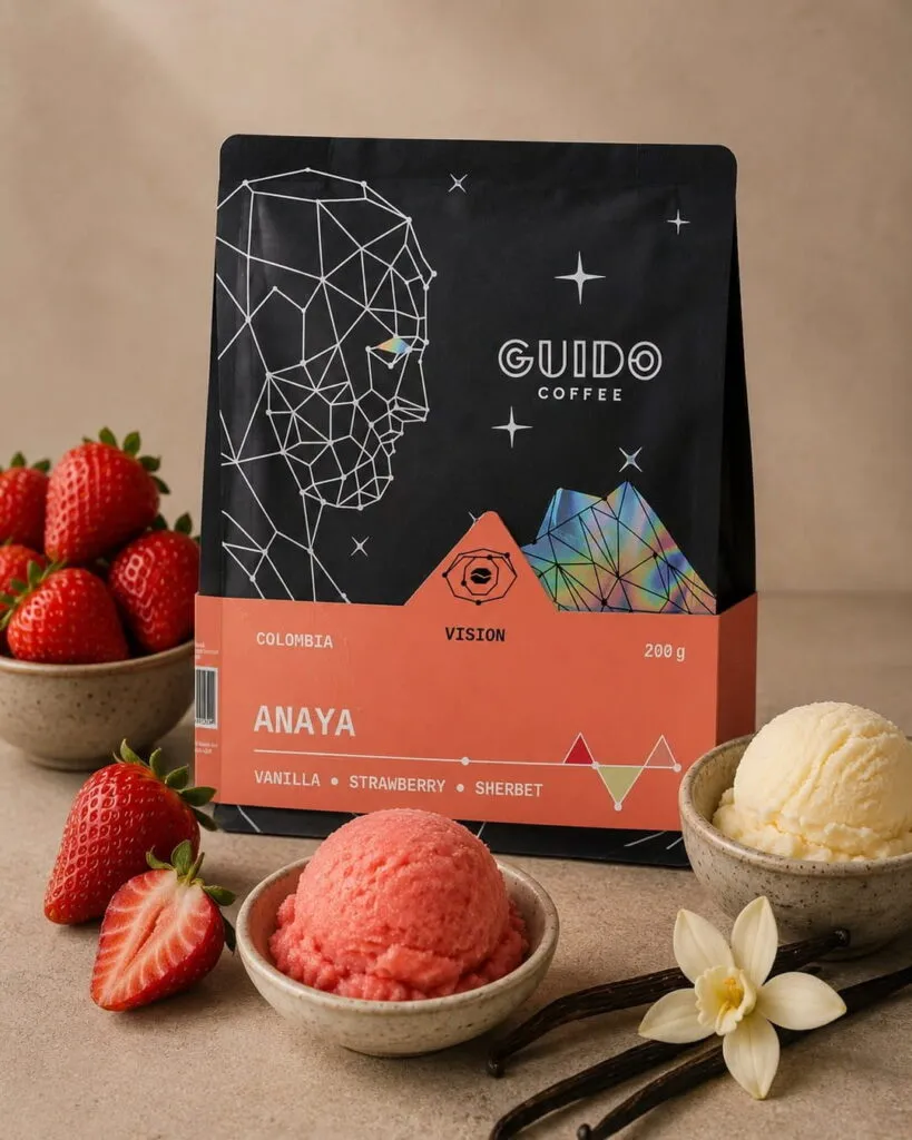 Guido - Anaya