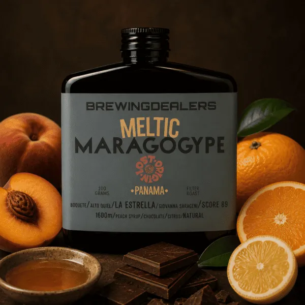 Panama - Maragogype Meltic, Brewing Dealers