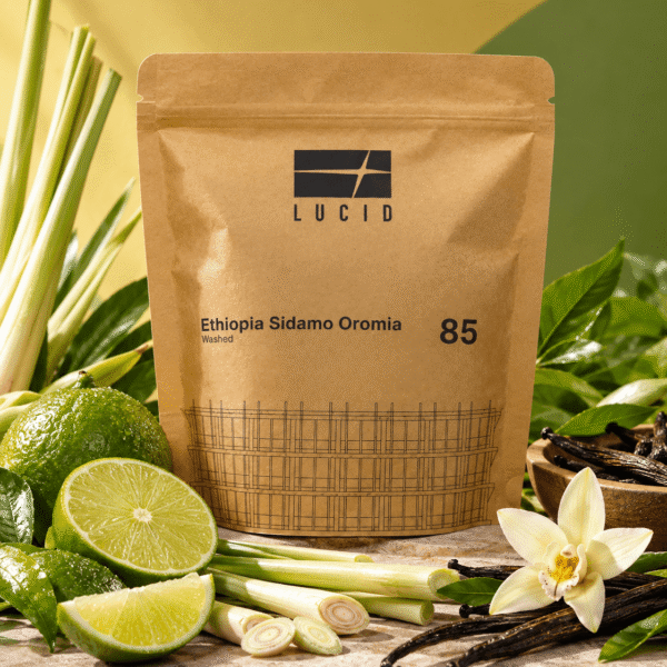 Ethiopia Sidamo Oromia Lucid Roasters - cafea de specialitate din Etiopia