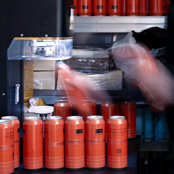Lucid Coffee Roaster