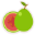 Guava